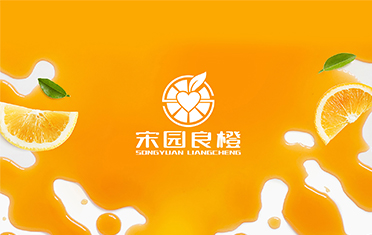 某良橙——宿州LOGO设计